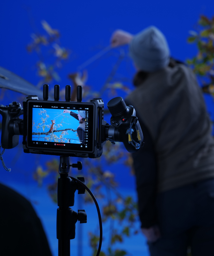 Un studio de tournage fond bleu-3
