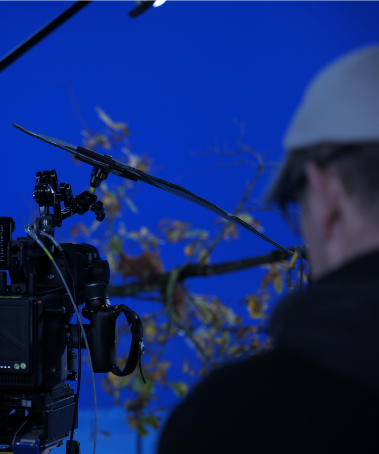 Un studio de tournage fond bleu-4