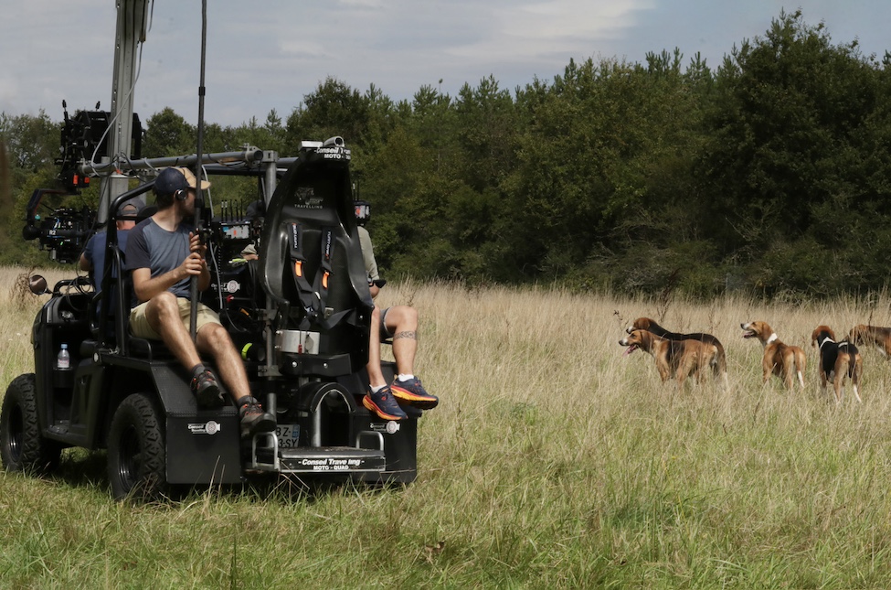 Animal contact - Régie et Matériel - Visuel de tournage avec des chiens
